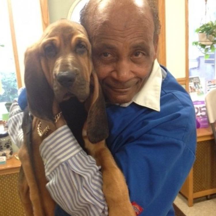 Midtown Animal Hospital New York, NY